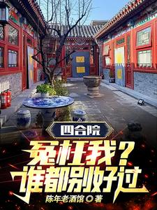 四合院讲的什么